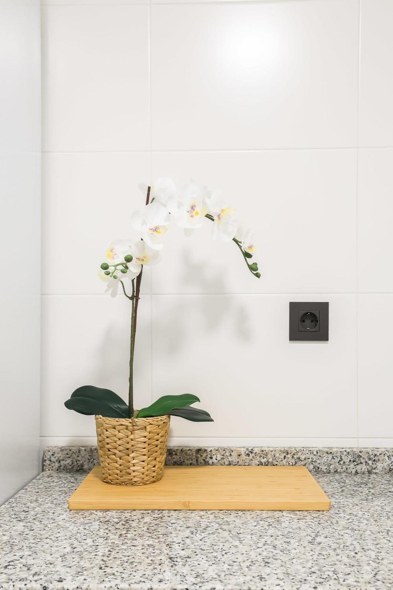 Apartamento Palermo Living Suites En Burriana Exterior photo